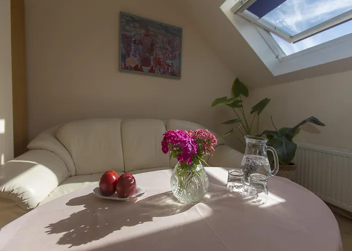 호텔 Pod Lipami 슈체친