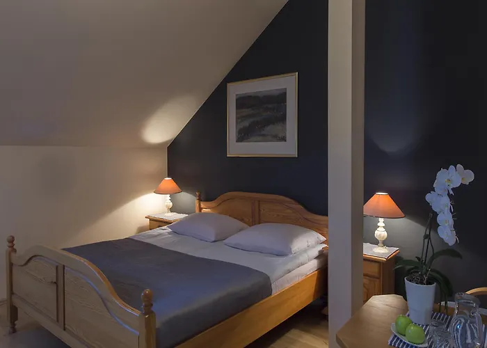 호텔 Pod Lipami 3*