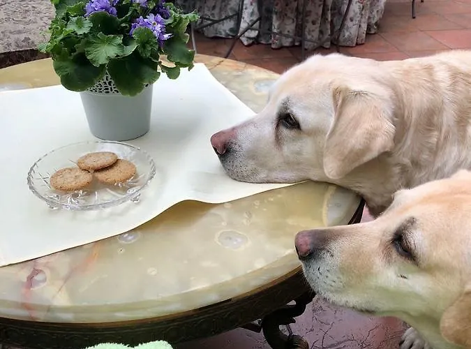 Pod Lipami 호텔 3*